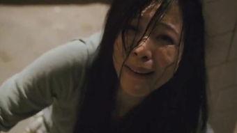 门徒在线观看高清,揭秘毒品背后的黑暗世界